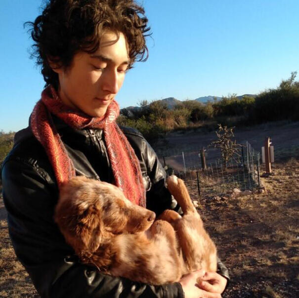 Professional Puppy Mover in Tucson & Sierra Vista, Arizona